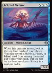 Merrow Eclissata