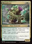 Bloombrute