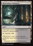 Meticulous Commons