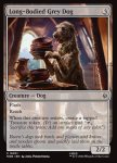 Long-Bodied Grey Dog