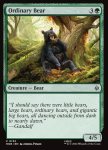Ordinary Bear