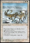 Pascolo dei Caribù