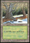 Foresta