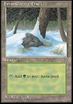 Foresta Innevata