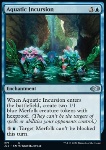 Incursione Acquatica