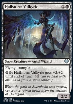 /prodotti/1/khm/kaldheim-hailstorm-valkyrie-530297.jpg