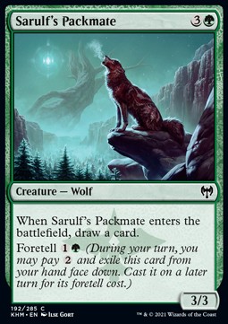 /prodotti/1/khm/kaldheim-sarulfs-packmate-529477.jpg