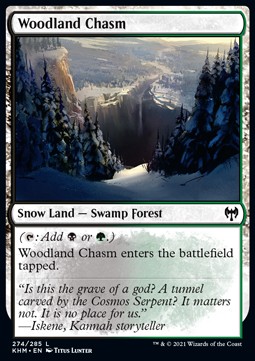 /prodotti/1/khm/kaldheim-woodland-chasm-529457.jpg
