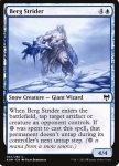 Ramingo degli Iceberg