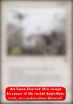 Purificazione