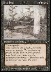 Anima Errante