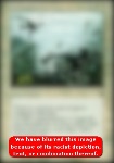 Purificazione