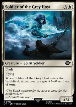 /prodotti/1/ltr/the-lord-of-the-rings-tales-of-middle-earth-soldier-of-the-grey-host-717116.jpg