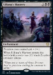 Maestria di Liliana