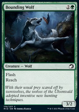 /prodotti/1/mid/innistrad-midnight-hunt-bounding-wolf-575059.jpg