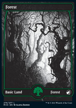 /prodotti/1/mid/innistrad-midnight-hunt-forest-v1-573822.jpg