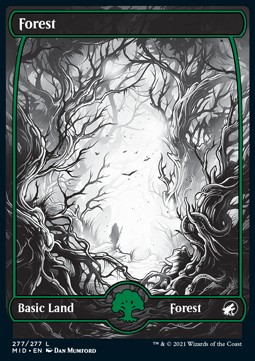 /prodotti/1/mid/innistrad-midnight-hunt-forest-v2-573823.jpg