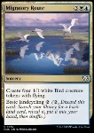 Rotta Migratoria