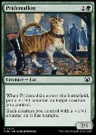 Felino Fiero
