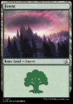 Foresta