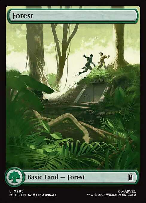 Foresta