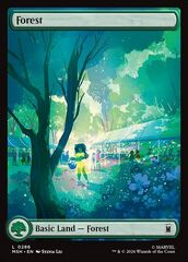 Foresta
