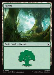 Foresta