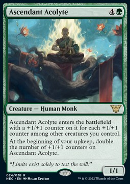 /prodotti/1/nec/commander-kamigawa-neony-dynasty-ascendant-acolyte-v1-608616.jpg