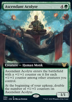 /prodotti/1/nec/commander-kamigawa-neony-dynasty-ascendant-acolyte-v2-608847.jpg