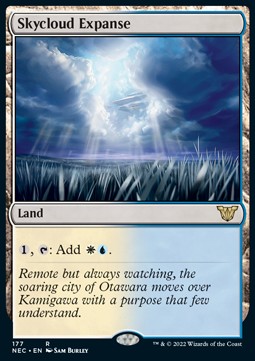 /prodotti/1/nec/commander-kamigawa-neony-dynasty-skycloud-expanse-608996.jpg