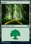 Foresta