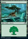 Foresta