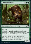 Tanuki Maggiore