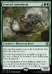 Evolved Spinoderm