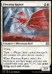 Rapace Scuoiato