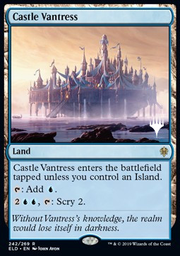 /prodotti/1/peld/a-throne-of-eldraine-promos-castle-vantress-v2-403934.jpg