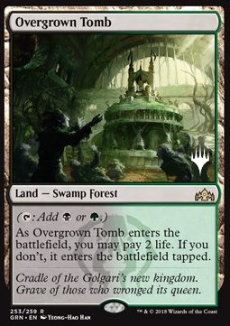 /prodotti/1/peld/a-throne-of-eldraine-promos-overgrown-tomb-404559.jpg