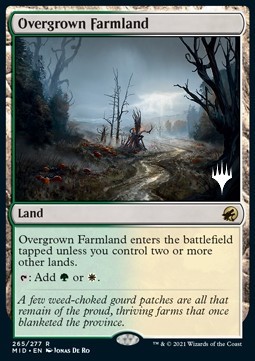 /prodotti/1/pmid/a-innistrad-midnight-hunt-promos-overgrown-farmland-v2-575952.jpg