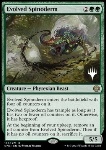 Evolved Spinoderm