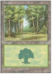 Foresta (V.2)