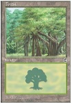 Foresta (V.3)
