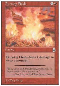 /prodotti/1/ptk/portal-three-kingdoms-burning-fields-11296.jpg