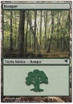 Foresta