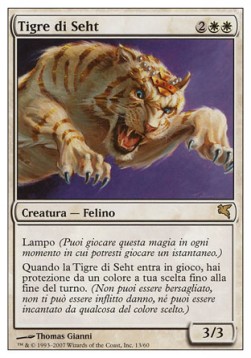 /prodotti/1/sal/salvat-hachette-sehts-tiger-259477.jpg