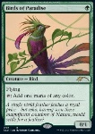 Uccelli del Paradiso