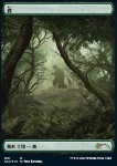 Foresta