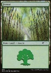 Foresta