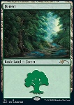 Foresta