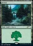 Foresta