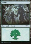 Foresta